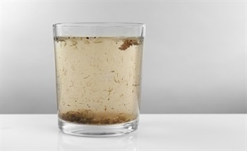 The Need for Clean and Sustainable Water Supplies