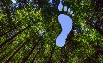 What is Carbon Sequestration?