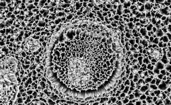 Silicon Nanowires Harnesses Energy Lost as Heat During Production of Electricity