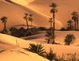 What is Desert Greening?