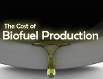 The Cost of Biofuel Production