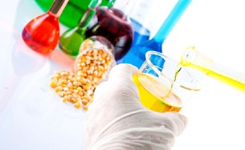 What is Biodiesel?
