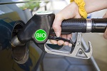 Make Your Own Biodiesel