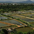 Chemical-Free Water Treatment