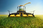 Breakthroughs and Applications of Biofuel with Marine Algae