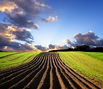 An Introduction to Sustainable Farming