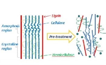 Characterizing Wheat Straw for Bio-Fuel Applications
