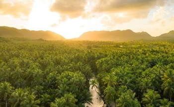 Brazil: Environmental Issues, Policies and Clean Technology