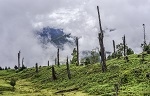 India: Environmental Issues, Policies and Clean Technology