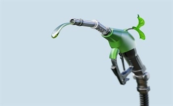 Developing Biofuels from Non-Food Plant Matter