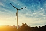Tweaking Nature: Harnessing Photosynthesis to Secure our Energy Future