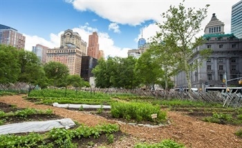 Relocating the Growing of Food to Urban Areas