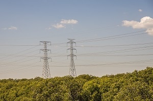Clathrates Capable of Converting Waste Heat to Electricity