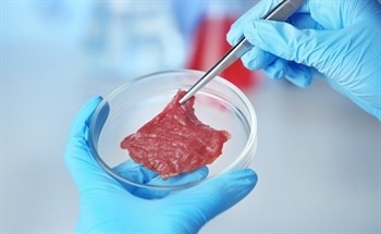 Lab Grown Meat: Is This the Future?