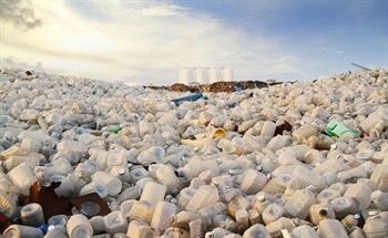 Polysaccharides and Bacterial Nanocellulose: A New Biomaterial for Reduced Plastic Use