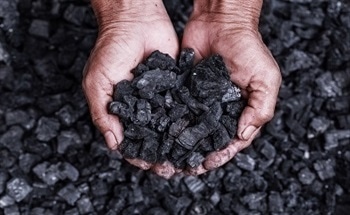 Determination of Fluorine Content in Coal Samples Using Metrohm Combustion IC