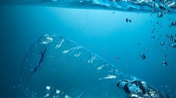 How Nature-Inspired Methods Can be Used to Recycle Plastics