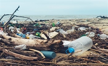 Alternatives to Plastic
