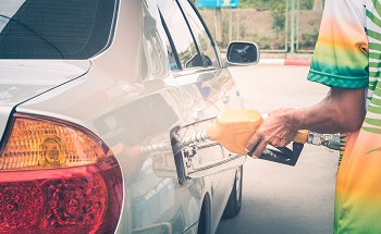 Running Your Diesel Engine on Vegetable Oil and Animal Fats