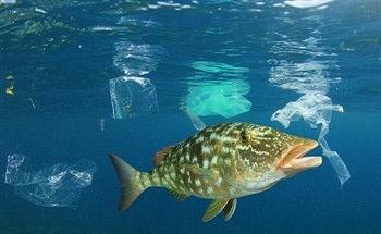 Preventing Pollution in the Sea with Sensors