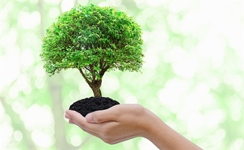 Using the IoT to Monitor Carbon Footprints