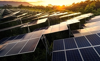 Organic Solar Cells – What Role Do They Play in Renewable Energy?
