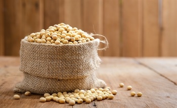 Using Soya Beans for Plastic