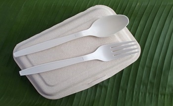 Biodegradable Plastics: Solution or Confusion?