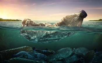 How to Reduce Your Plastic Waste