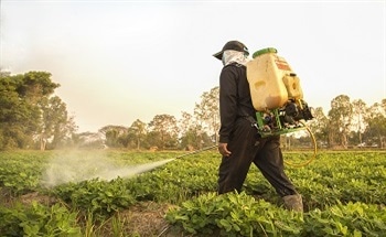 What is Food Pollution?