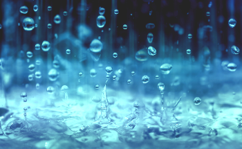 Can Rainwater Collection Solve Climate Change?