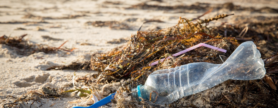 Ocean Plastic Returning to Aussie Coastlines