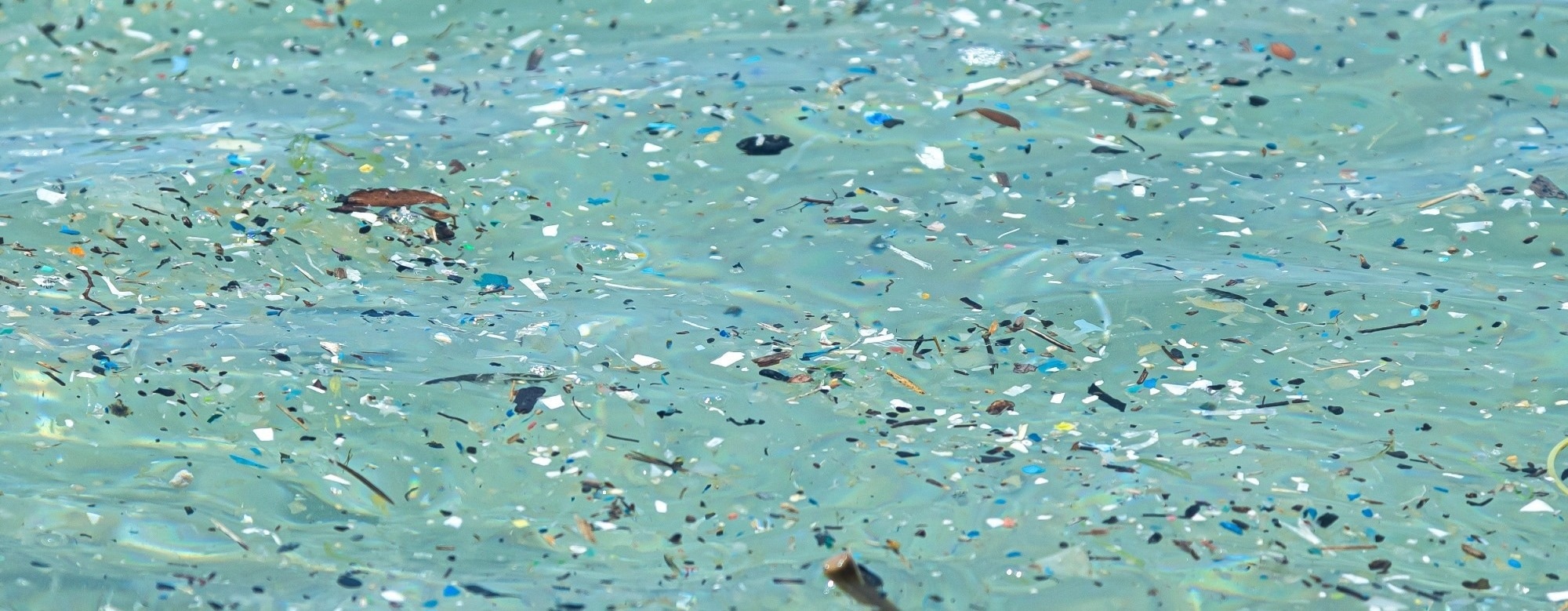 What Happens to Microplastics in the Ocean?