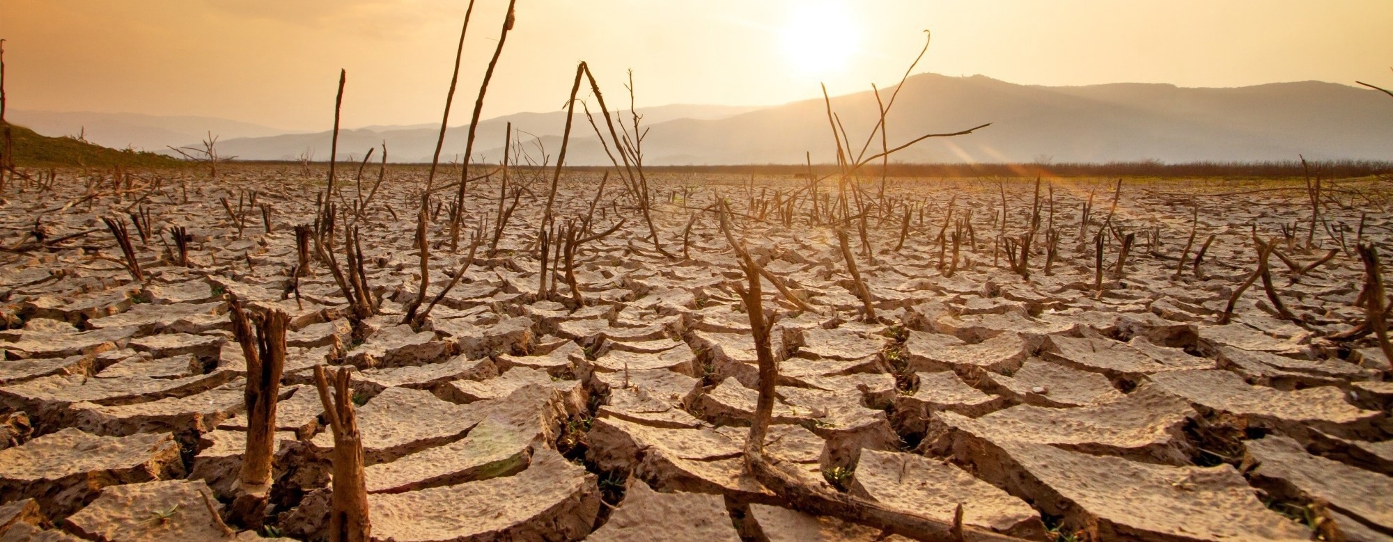 New Report: Urgent Action Required as Climate Tipping Points Are Reached