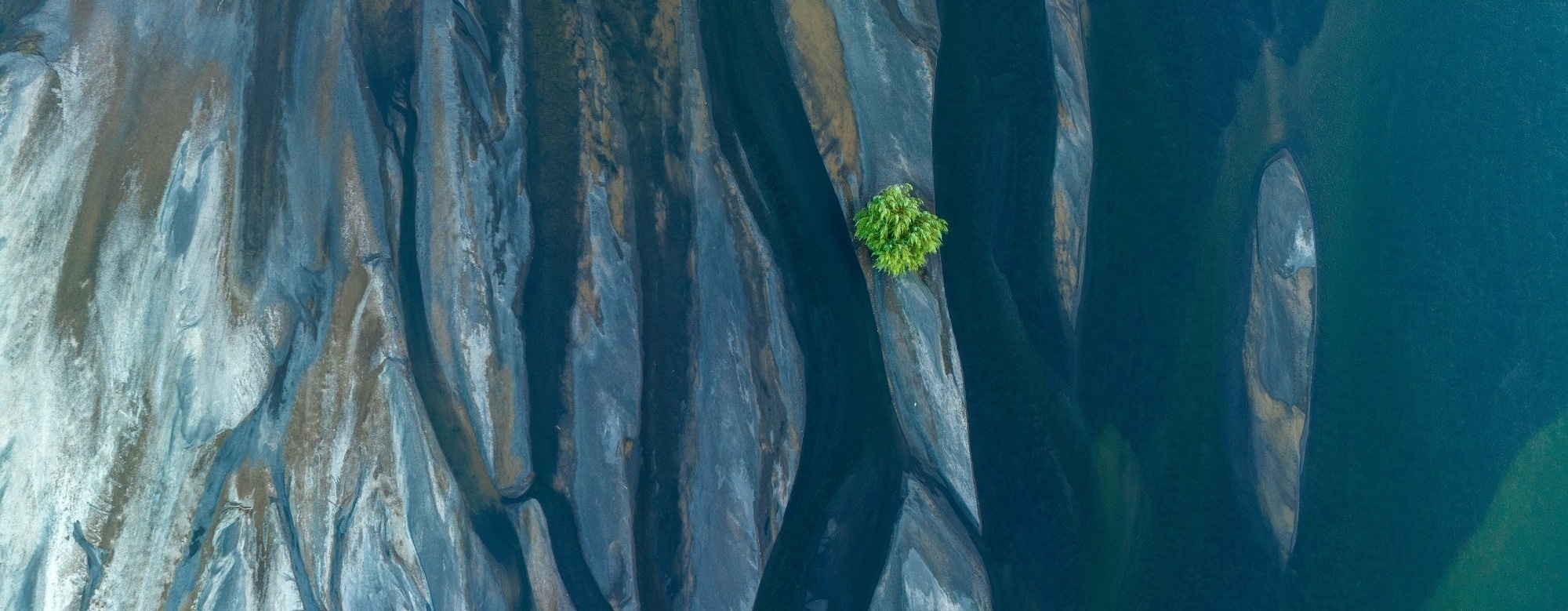 From Marine Heatwaves to Carbon Markets: 10 Critical Climate Science Insights for 2025/26