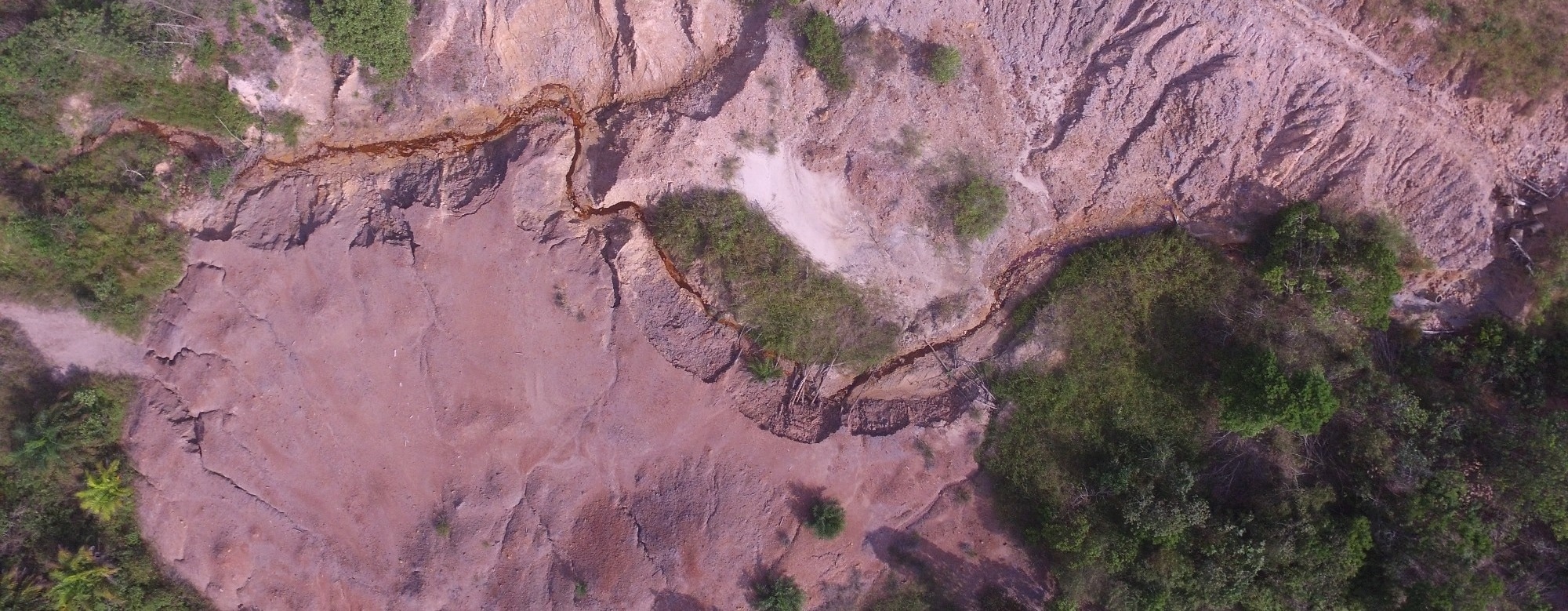 Old Mining Sites are Effective Carbon Sinks, Study Shows