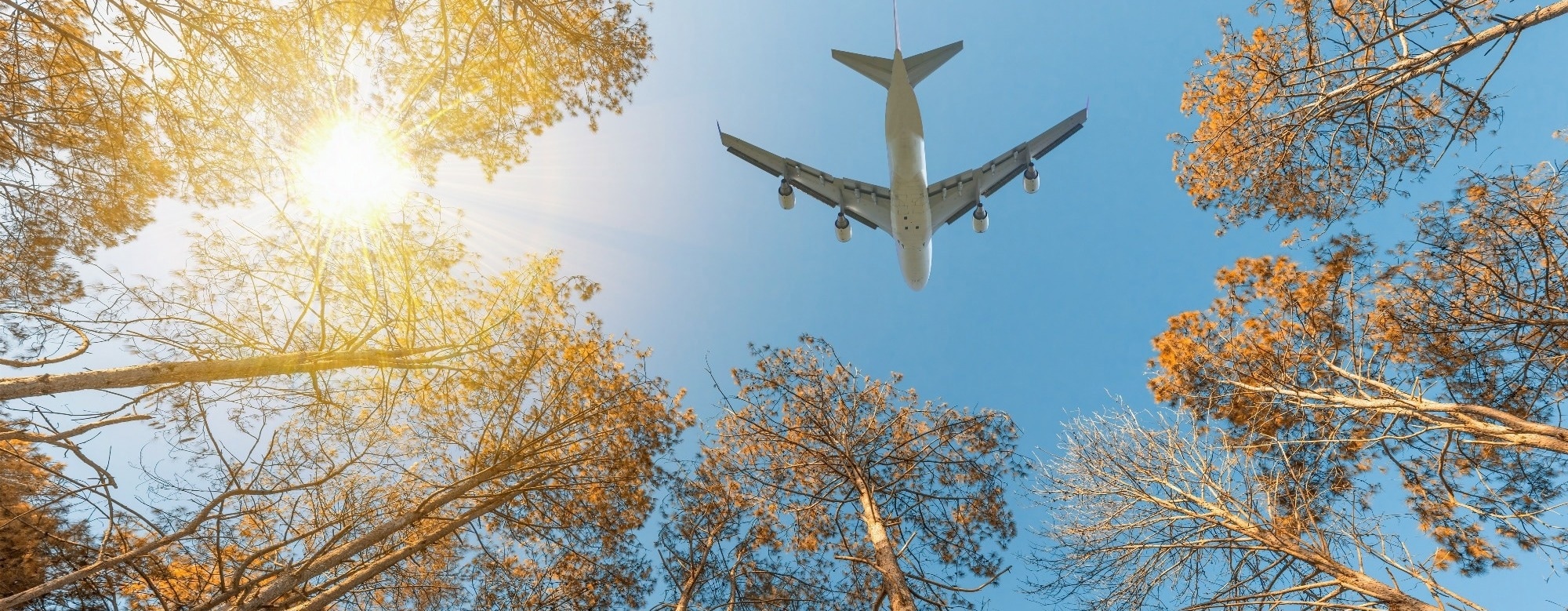Can Alternative Fuels and Hydrogen Really Decarbonise Europe’s Skies?