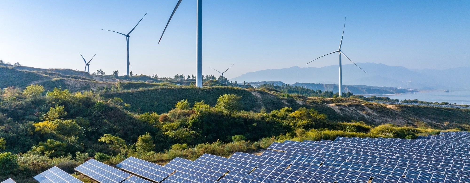 What are the Common Myths About Renewable Energy?