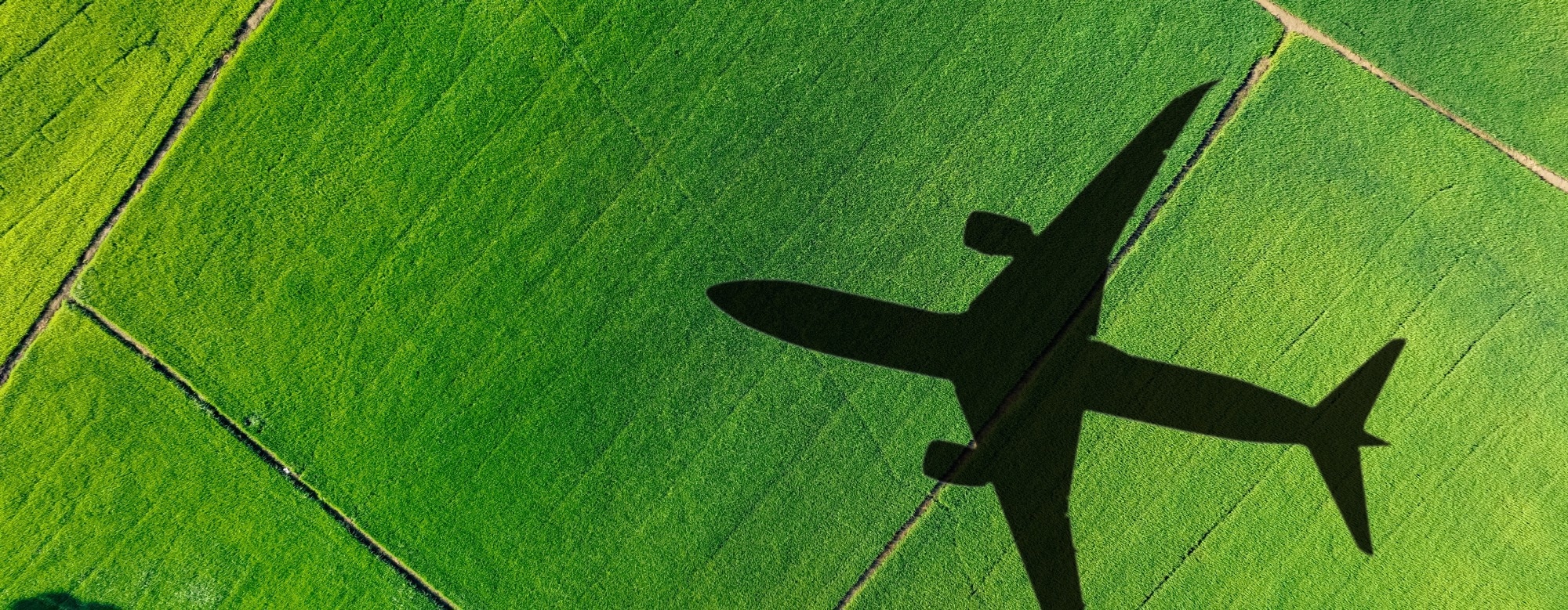 A New Dewaxing Solution Driving Growth in the SAF Market