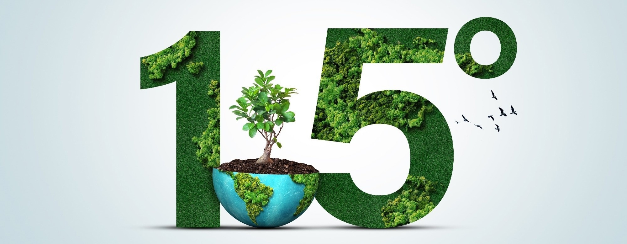 10 Years of the Paris Climate Agreement: Progress and Setbacks