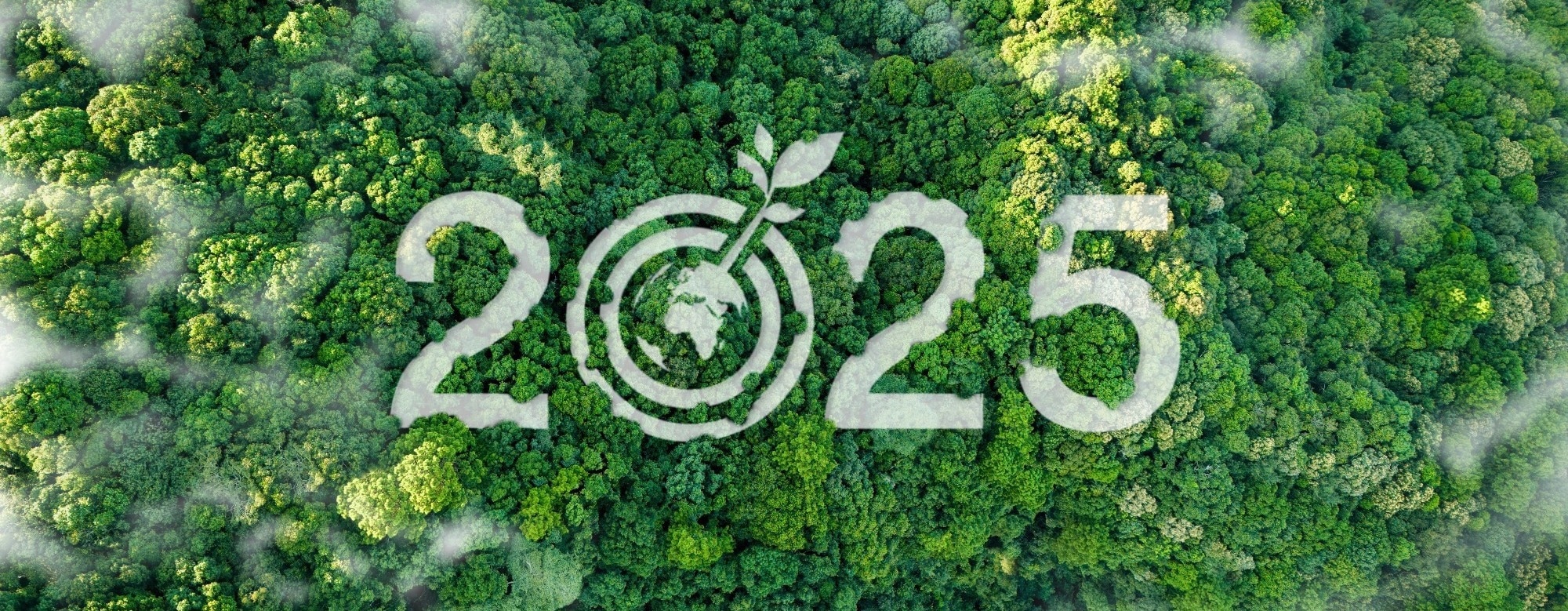 The Biggest Sustainability Stories of 2025