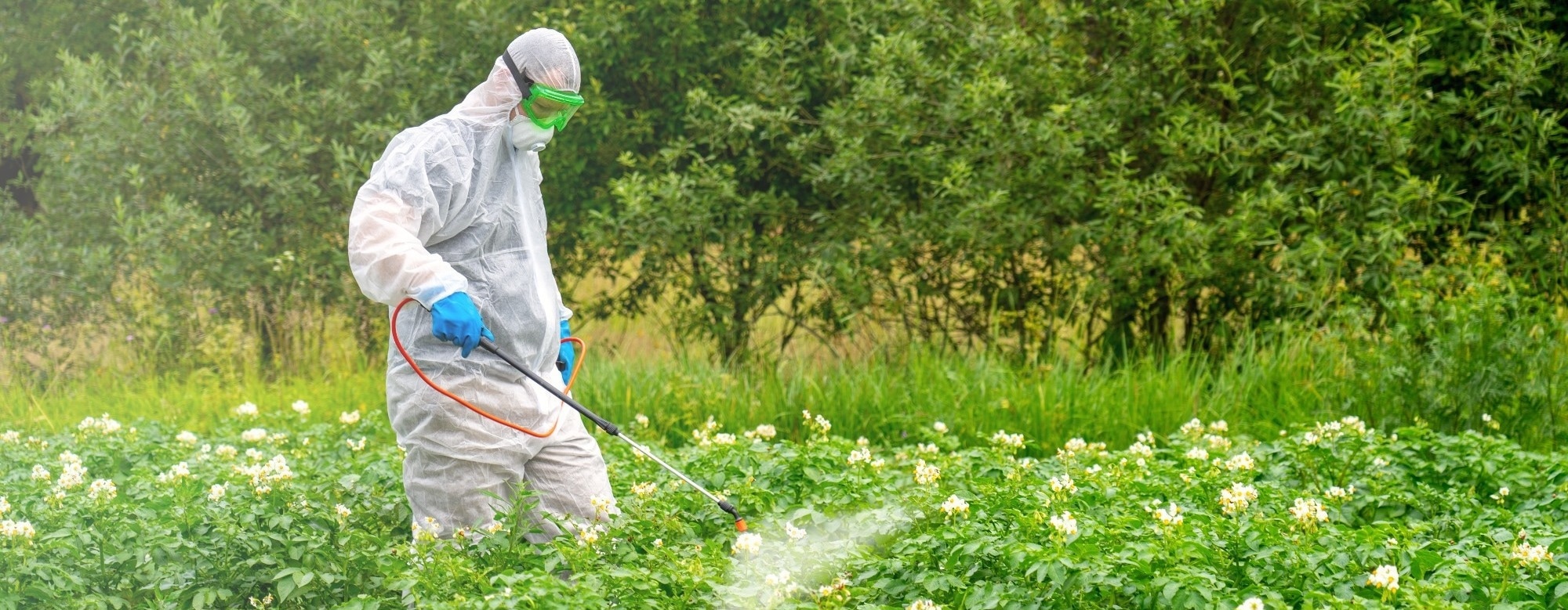 Study Finds Increase in Toxic Pesticides in Agriculture
