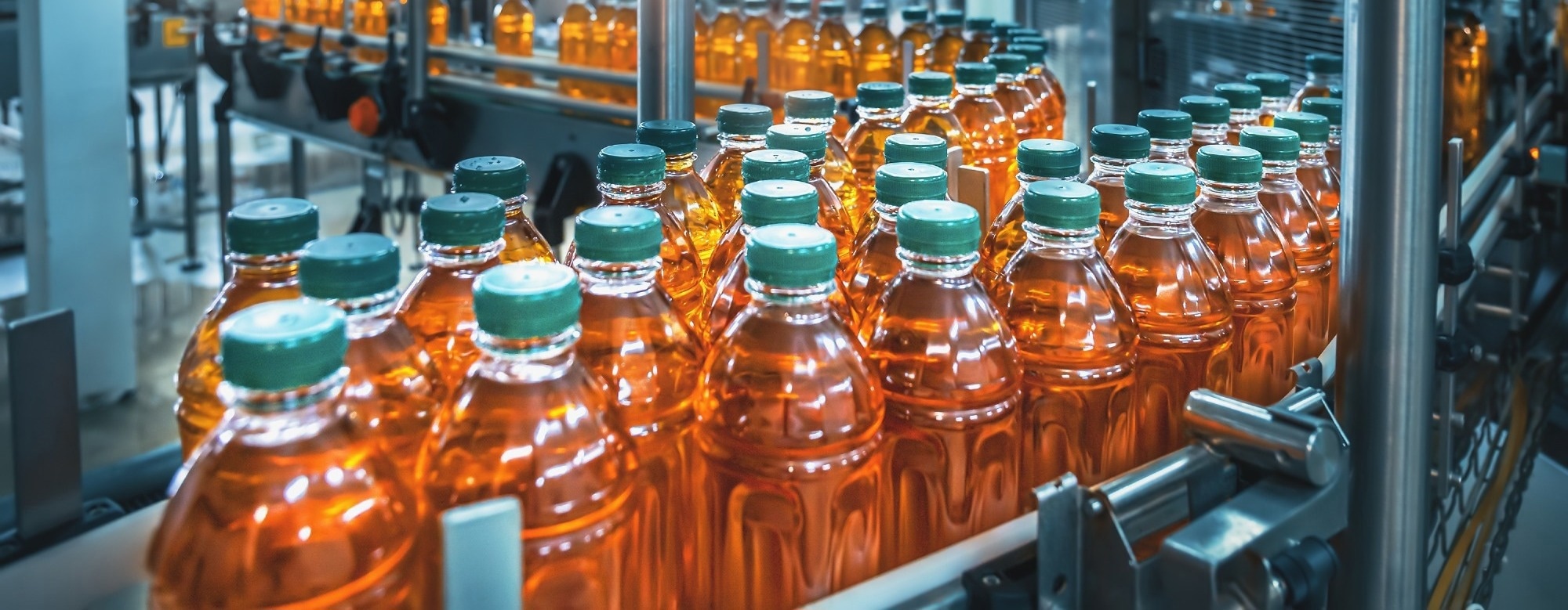 Balancing Food Safety and Sustainability in Food Processing Systems