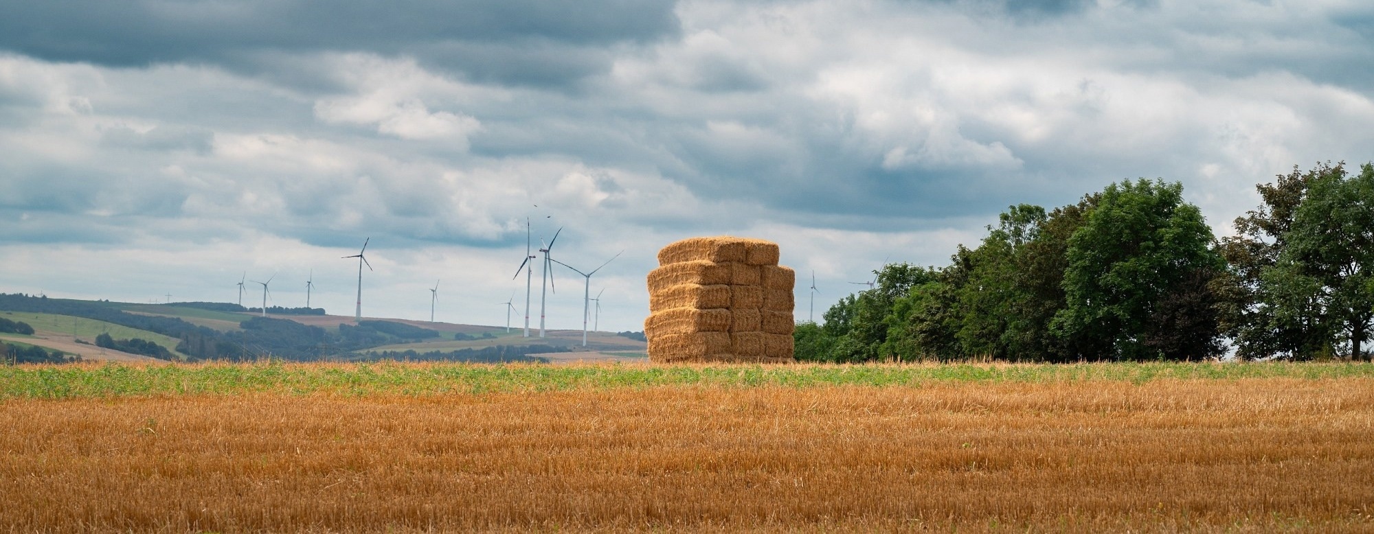 Agricultural Straw Can Help Reduce Greenhouse Gas Emissions