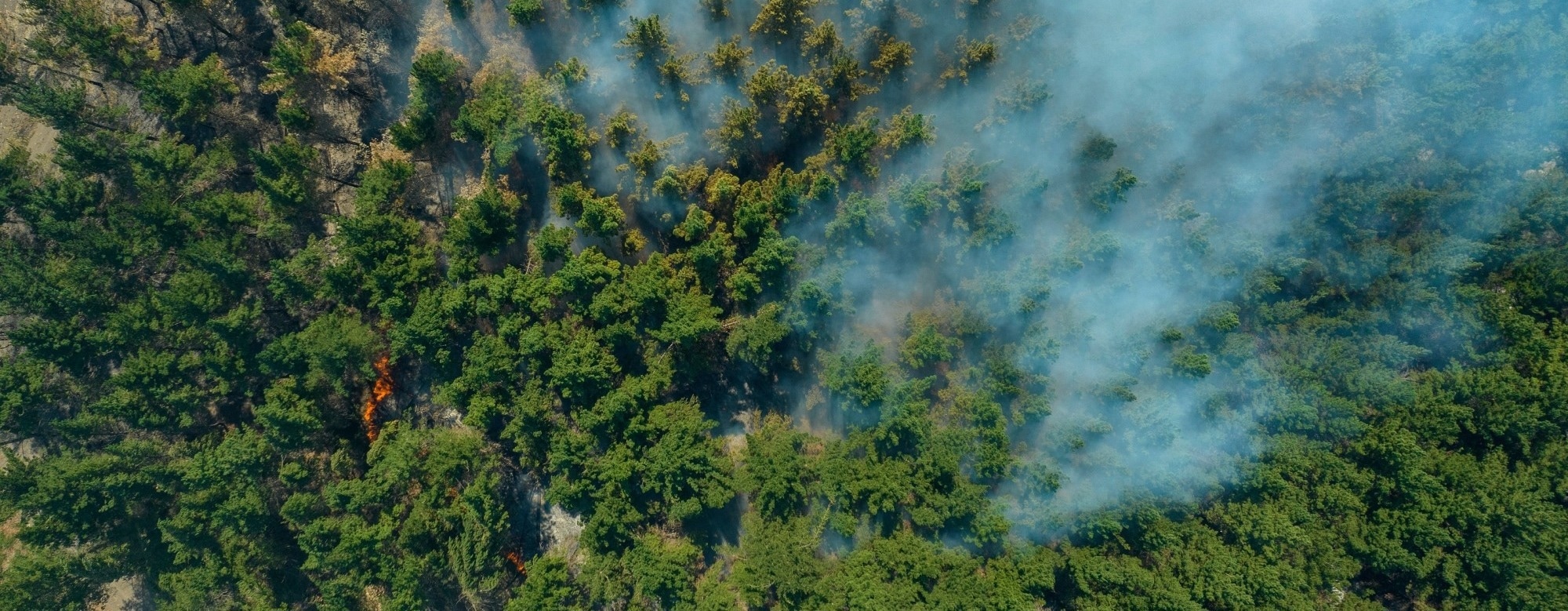 Wildfires Cause Decline in Solar Power Output, Study Finds