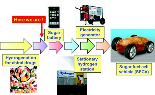 Applications and roadmap for SyPaB.