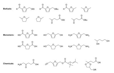 Examples of CMF derivatives.