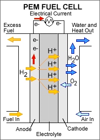 PEM fuel cells consist of electrodes containing a platinum catalyst and a solid polymer electrolyte. By splitting hydrogen molecules at the anode, and oxygen molecules at the cathode, PEM fuel cells generate an electrical current with only heat and water as a by-product.