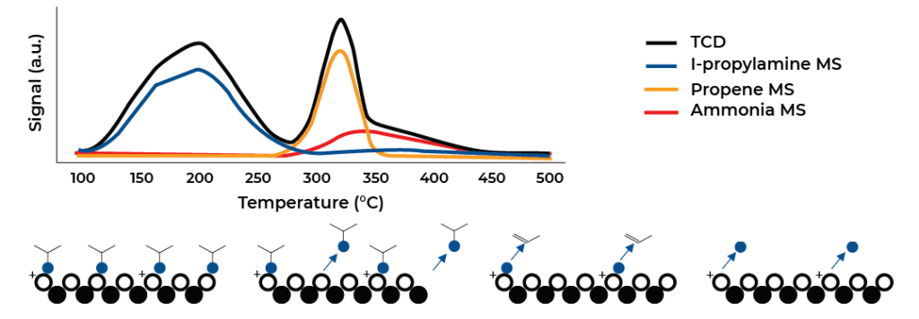 Temperature-Programmed Desorption Measurement (TPD).