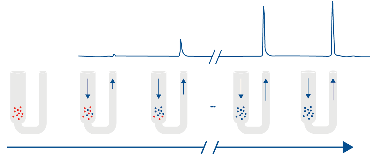 Pulse Chemisorption.